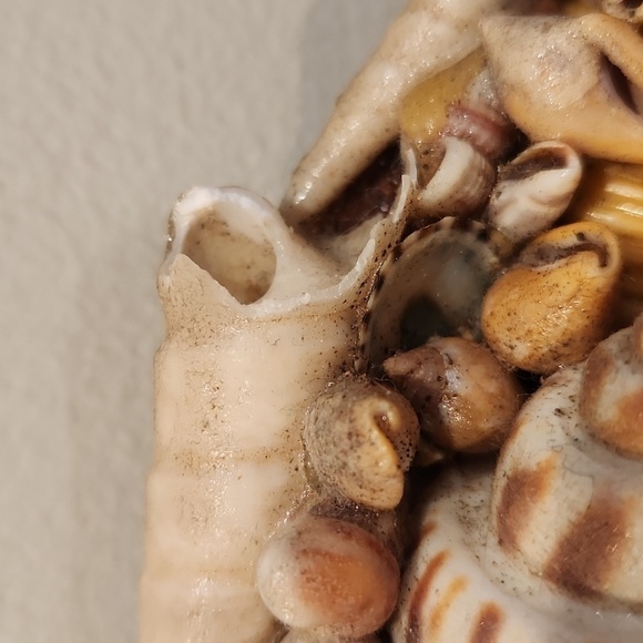 1970s handmade seashell oval mirror coastal beach - Picture 4 of 14